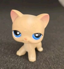 Litllest Petshop chat #228 Hasbro authentique