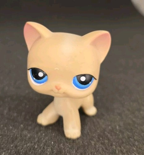 Litllest petshop chat 228 - chat, #228