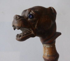 Pommeau de canne en bois tête