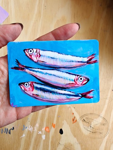 Aceo fatty anchovies - fatty, sardine