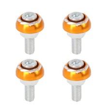 4pcs 6mm Moto License Plaque