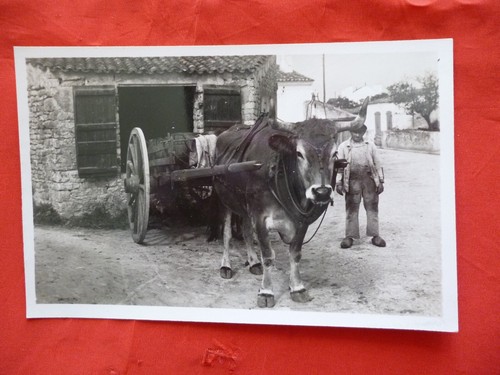 Ancienne carte postale - ,