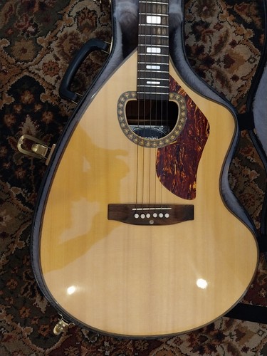 Giannini vintage handcrafted - giannini,