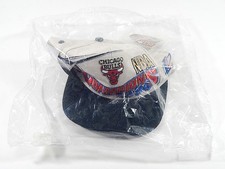 1996 Chicago Bulls NBA