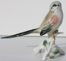 Karl ens oiseau en - karl,