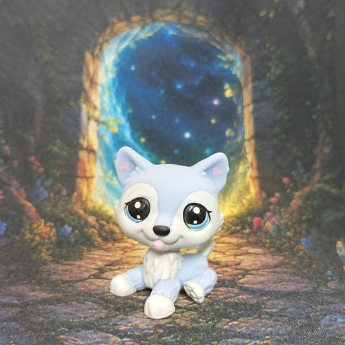 Chien husky 107 littlest - chien, g7
