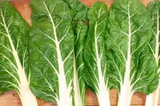 Graines de Blettes ( Poirées ) de culture Bio