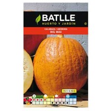 Semences horticoles de Batlle - Citrouille Big Max - Géante (6g)