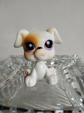 Petshop chiot boxer # 84