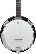Ibanez B50 5-string Resonator