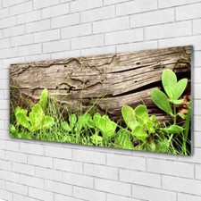 Impression sur verre acrylique Image tableau 125x50 Floral Feuilles Herbe