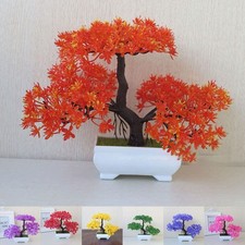 Miniature décor bonsaï pin