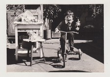 Joyful Trike Adventures mignon