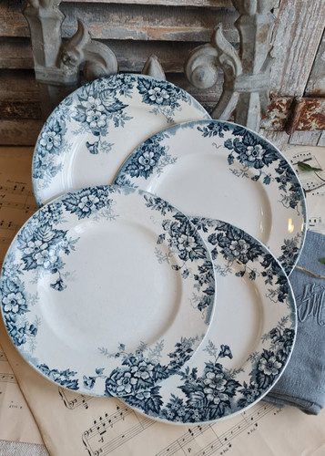 Anciennes assiettes plates - 4,