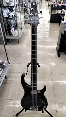 Modulus quilted maple - modulus, q5