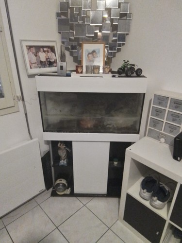 Aquarium angle sur - d’angle,