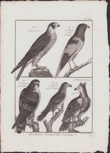 1790 buffon bonnaterre - ✒,
