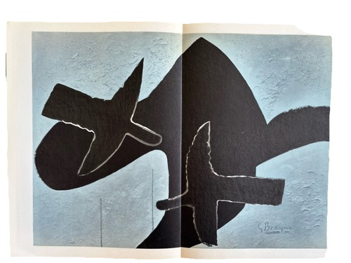 Braque les oiseaux - braque,