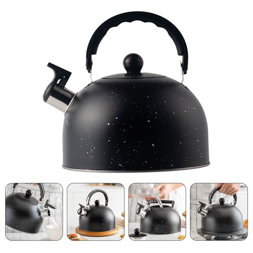 Bouilloire sifflante acier - bouilloire, en
