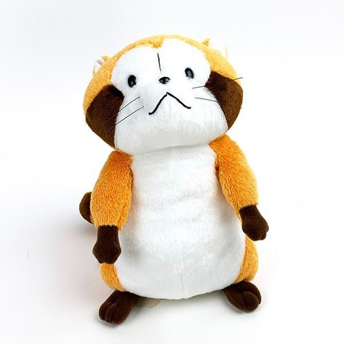 Peluche raton laveur - , m