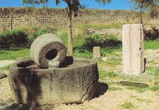 ISRAEL CAPHARNAUEM ANCIEN PRESSOIR A OLIVES