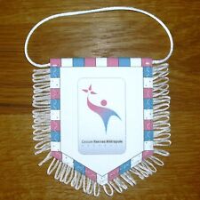 CESSON RENNES METROPOLE (HANDBALL) - Fanion en tissu, neuf