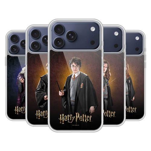 Harry potter chamber - harry, of