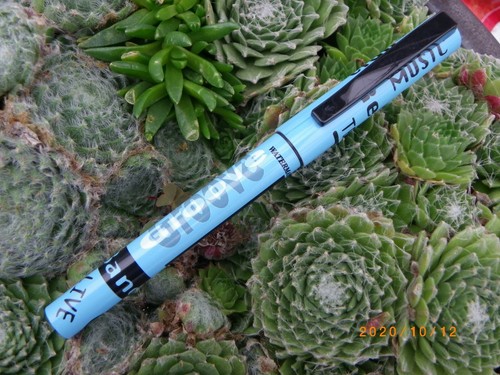 Vintage stylo waterman - vintage,