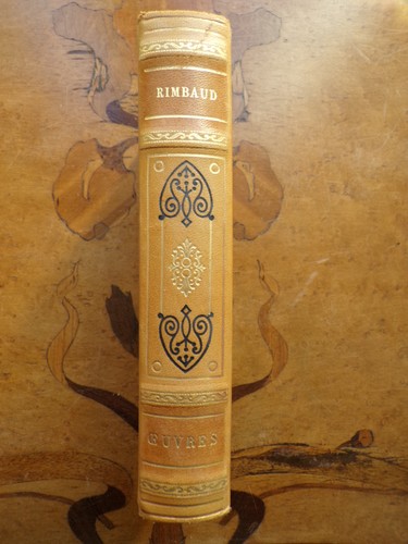 9829 rimbaud oeuvres garnier - 9829,