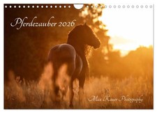 La magie du cheval 2025 (Calendrier mural 2026 DIN A4 horizontal), CALVENDO cale