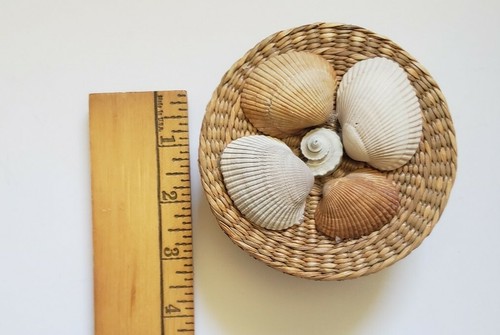 Shell wicker basket - wicker,