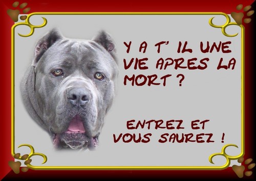 Plaque garde cane - de,