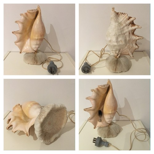 Lampe coquillage table de - coquillage,