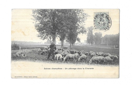 Rare carte postale ancienne - postale,