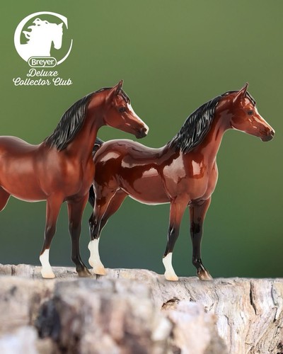 Breyer kiana bay arabian - breyer,