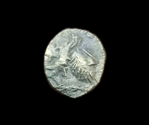 Minimi tetricus frappe - de,