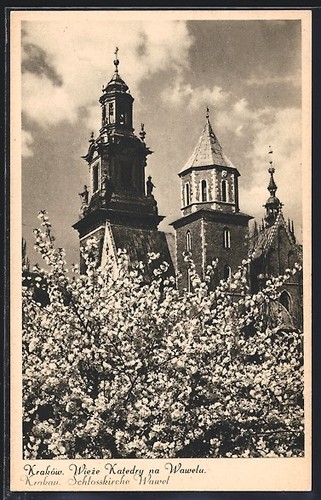Cracovie wieze katedry - wieze,