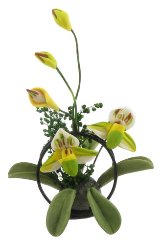 Présentoir fleurs lys - présentoir,