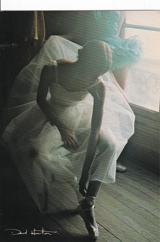 Carte postale david hamilton - postale,