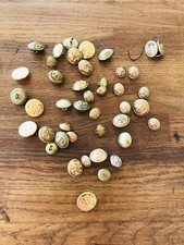 Boutons Manchette Uniforme