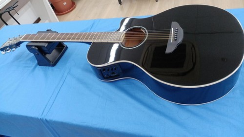 Guitare acoustique électrique