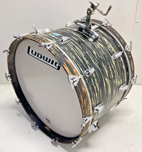 Ludwig black oyster - x,