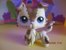 Petshop Chien Colley N°2210