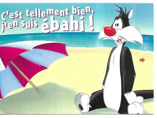 Rare carte postale titi et - /,