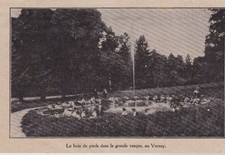 1911  --  LA BAIN DE PIED DANS LA VASQUE   AU VERNAY