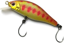 Palms Alexandra 63 HW - 6.3cm