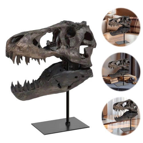 Rex skull dinosaur statue - t,