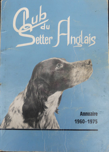 Club setter anglais - setter,