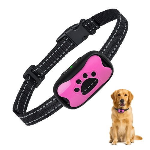 Puppy safe collier - safe,