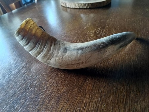 Ancienne corne vache - ancienne,